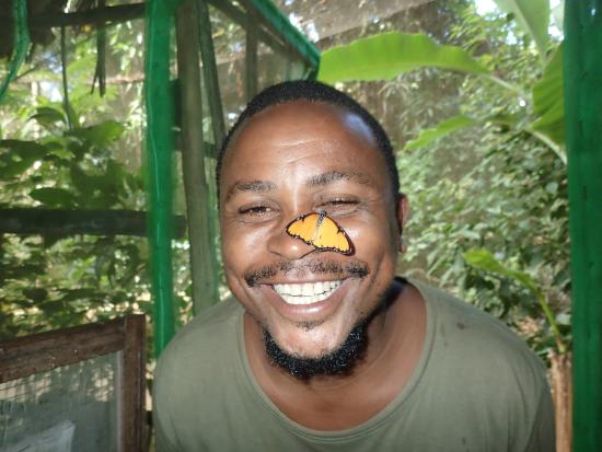 zanzibar-butterfly-centre (1)